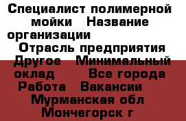 Специалист полимерной мойки › Название организации ­ Fast and Shine › Отрасль предприятия ­ Другое › Минимальный оклад ­ 1 - Все города Работа » Вакансии   . Мурманская обл.,Мончегорск г.